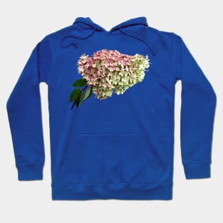 Hydrangeas - Sprig of Hydrangea Hoodie